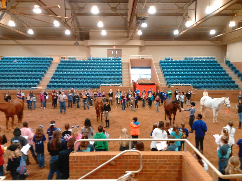 4-H Horse Project Group