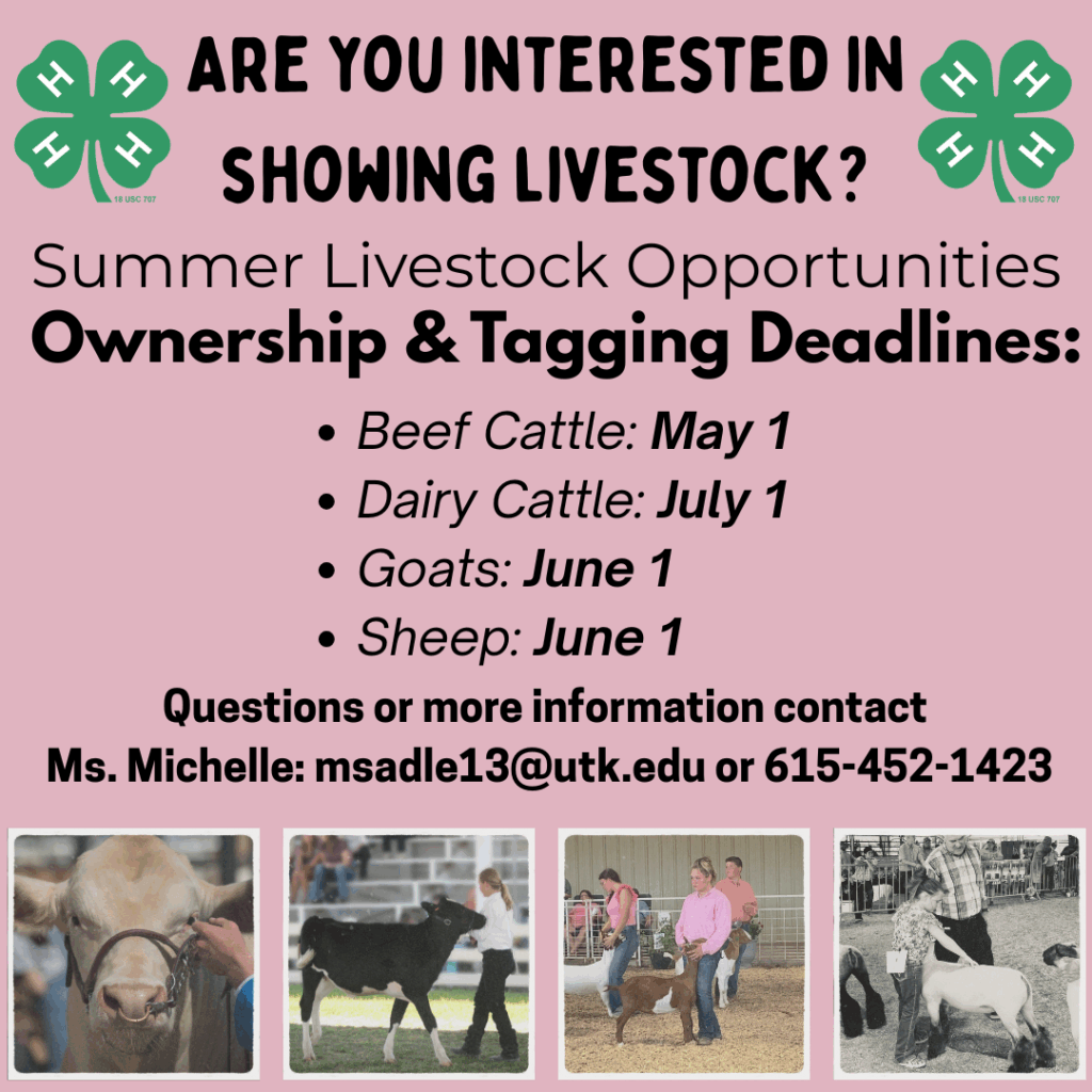 livestock interest info